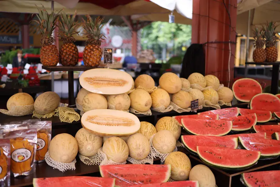 Preserving the Best of Maplewood, MO in Maplewood