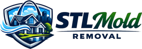 STL Mold Removal